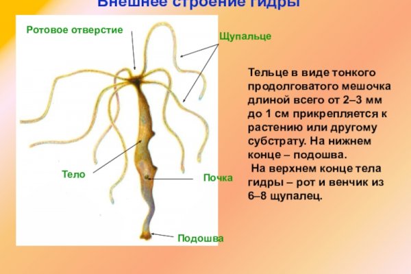 Как регистрироваться и заходить на кракен даркнет