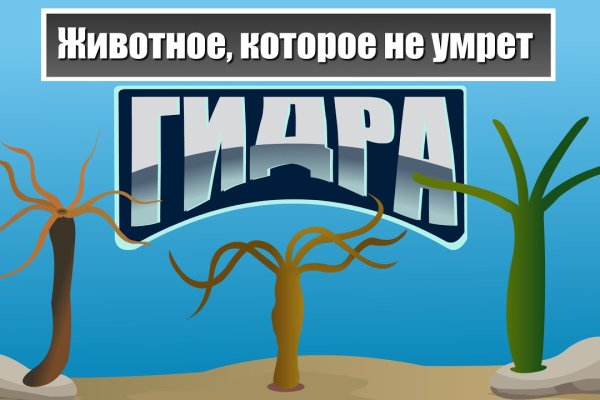 Как зарегистрироваться в kraken